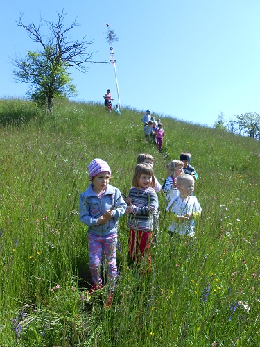 maj18