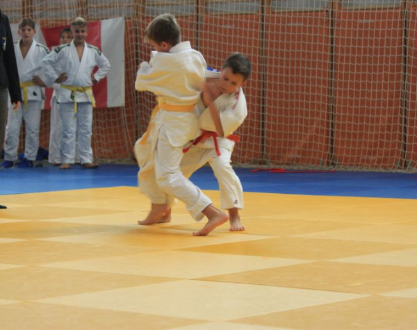 judo2019011